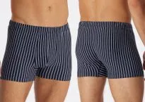 Men's Boxer Briefs SCHIESSER 95/5 - dark blue striped