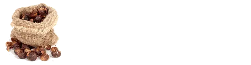 Waschnüsse