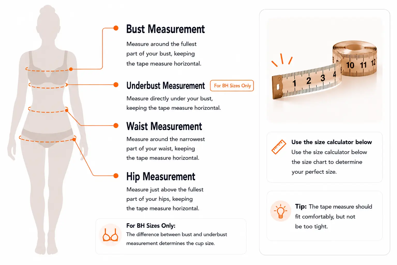 Underwear Size Calculator Underwear Size Chart: How to Measure Your Body Correctly