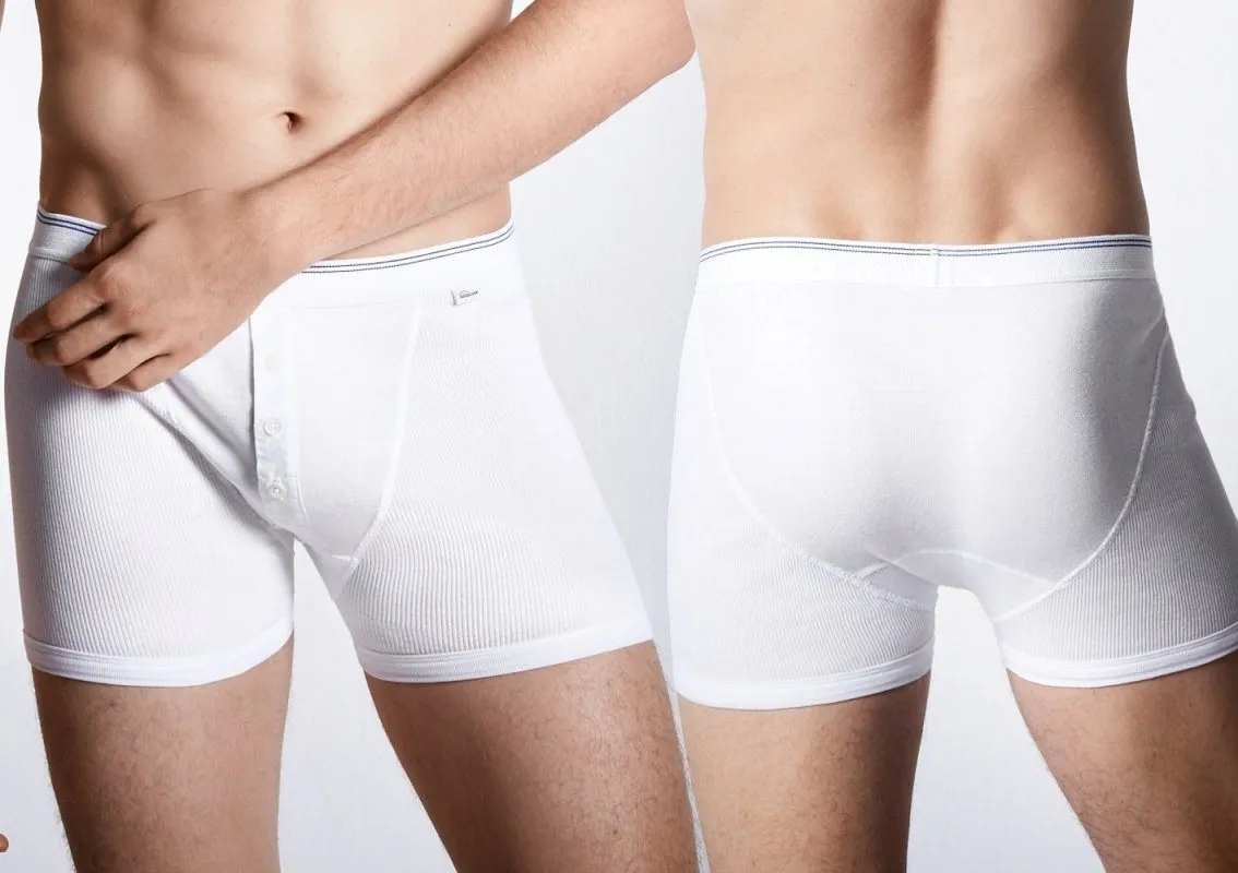Men's Boxer Briefs SCHIESSER REVIVAL Friedrich Men's Boxer Briefs SCHIESSER REVIVAL Friedrich