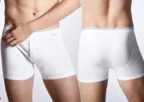 Men's Boxer Briefs SCHIESSER REVIVAL Friedrich