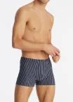 Men's Boxer Briefs SCHIESSER 95/5 - dark blue striped – view 3